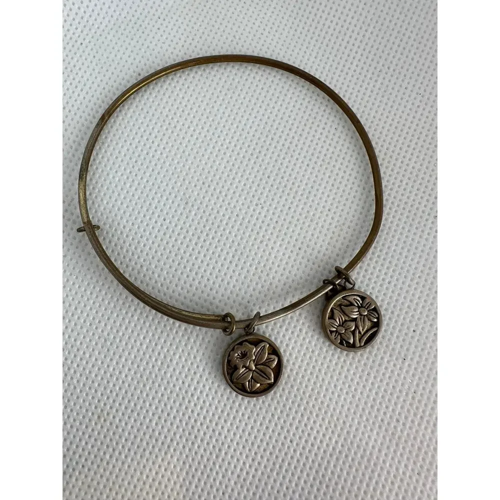 Alex and Ani Bracelet Path of Life